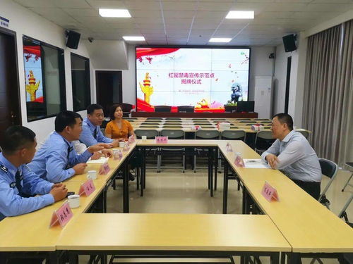 為民辦實事 同安區(qū)司法局教育整頓出實效，成果轉(zhuǎn)化惠民生